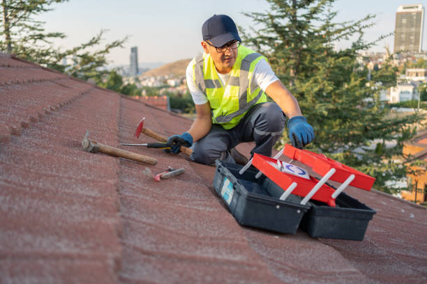 Best Insulated Siding Installation  in Anacoco, LA